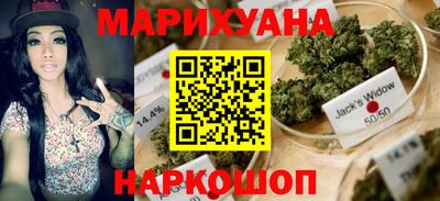 PSILOCYBIN Гудермес