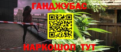 PSILOCYBIN Гудермес