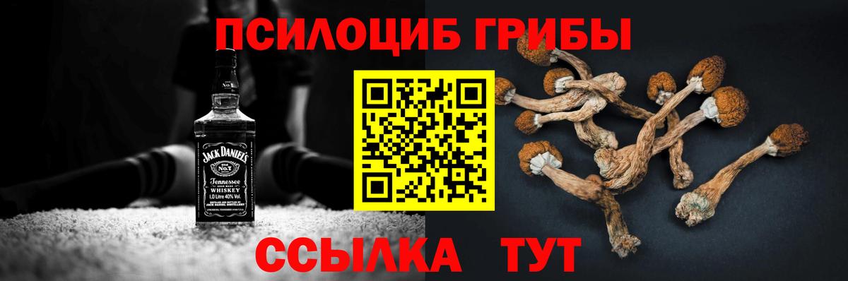 Галлюциногенные грибы MAGIC MUSHROOMS Губкинский